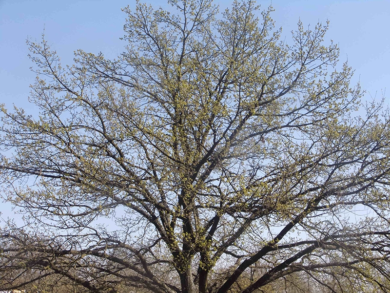 20 Lunet_zorg-Paul 100_2322